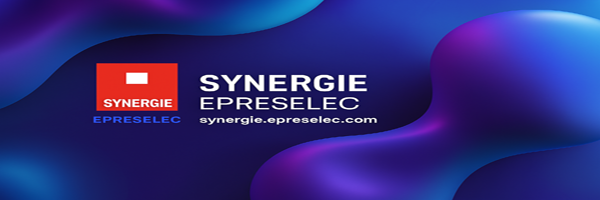 Esta sección detalla las funcionalidades principales de la plataforma de empleo de Synergie .